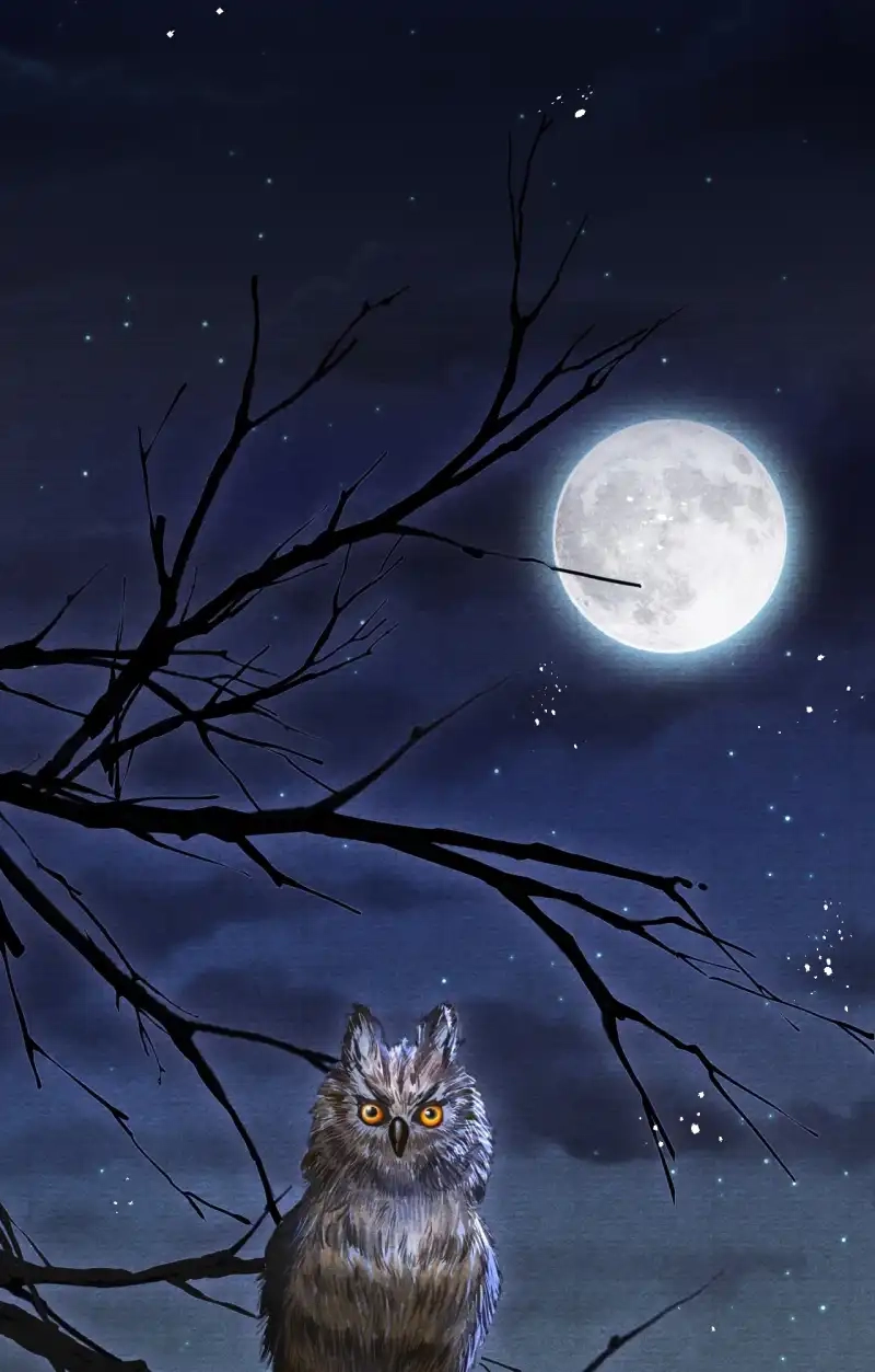 A Single Strike of Shimmering Frost Chapter 58 page 13 - 
