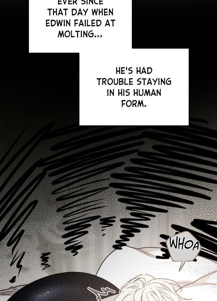A Snake Hole Chapter 26 page 41 - 
