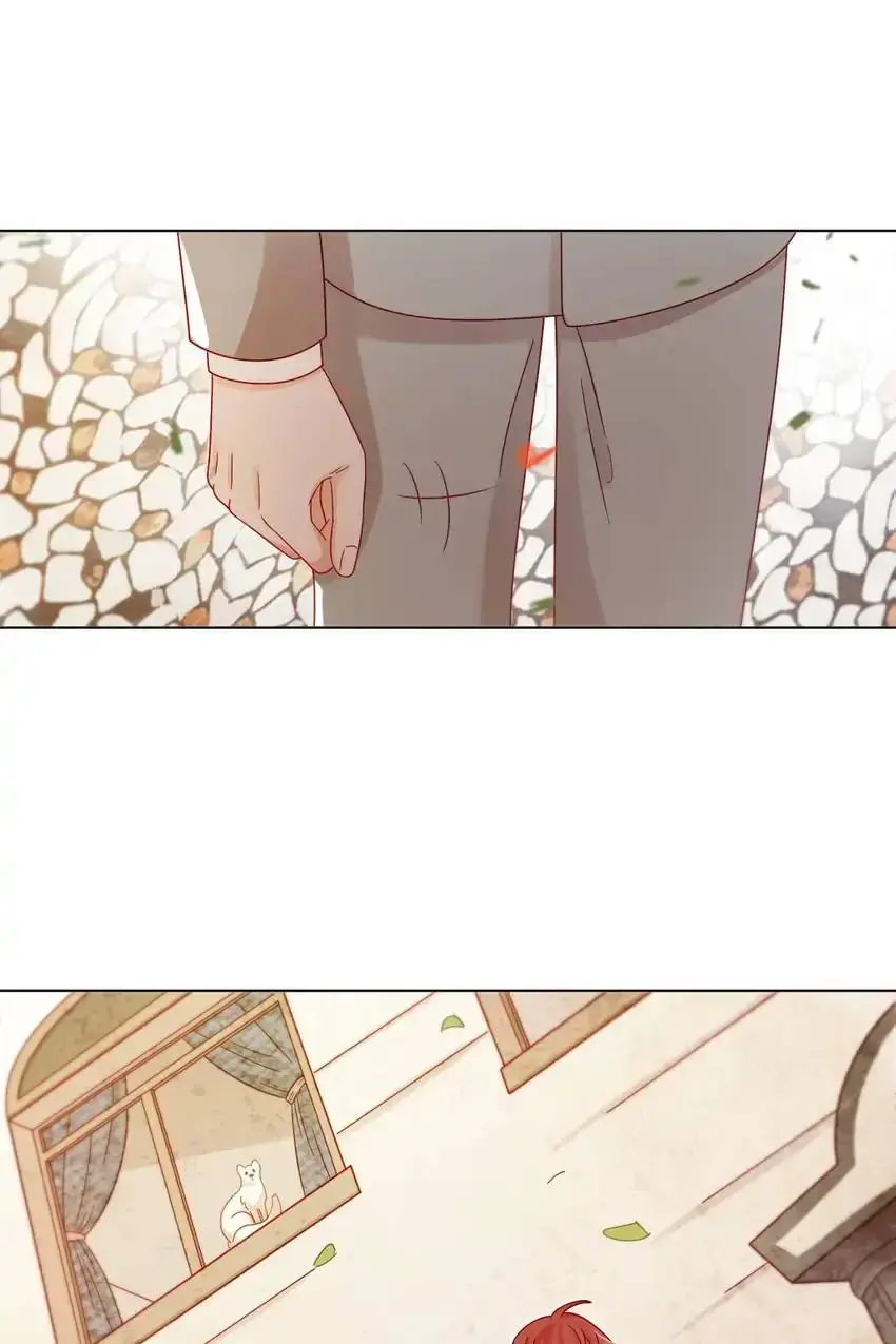 A Song Dwelling In The Clouds: Love Inside The Cage Chapter 34 page 37 - 