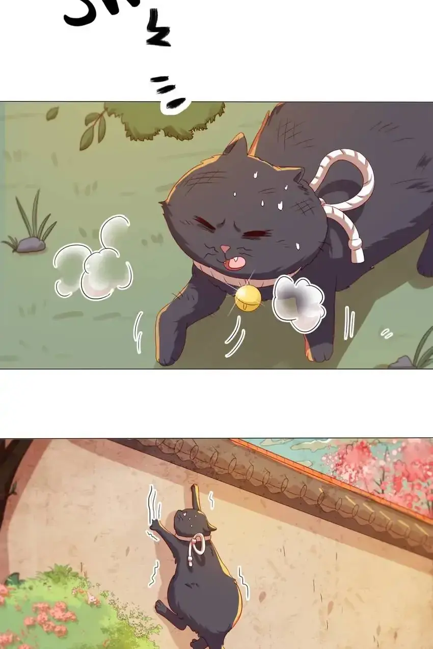 A Song Dwelling In The Clouds: Love Inside The Cage Chapter 41 page 28 - 