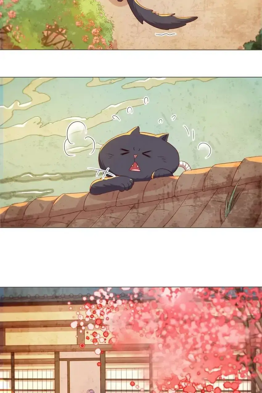 A Song Dwelling In The Clouds: Love Inside The Cage Chapter 41 page 29 - 