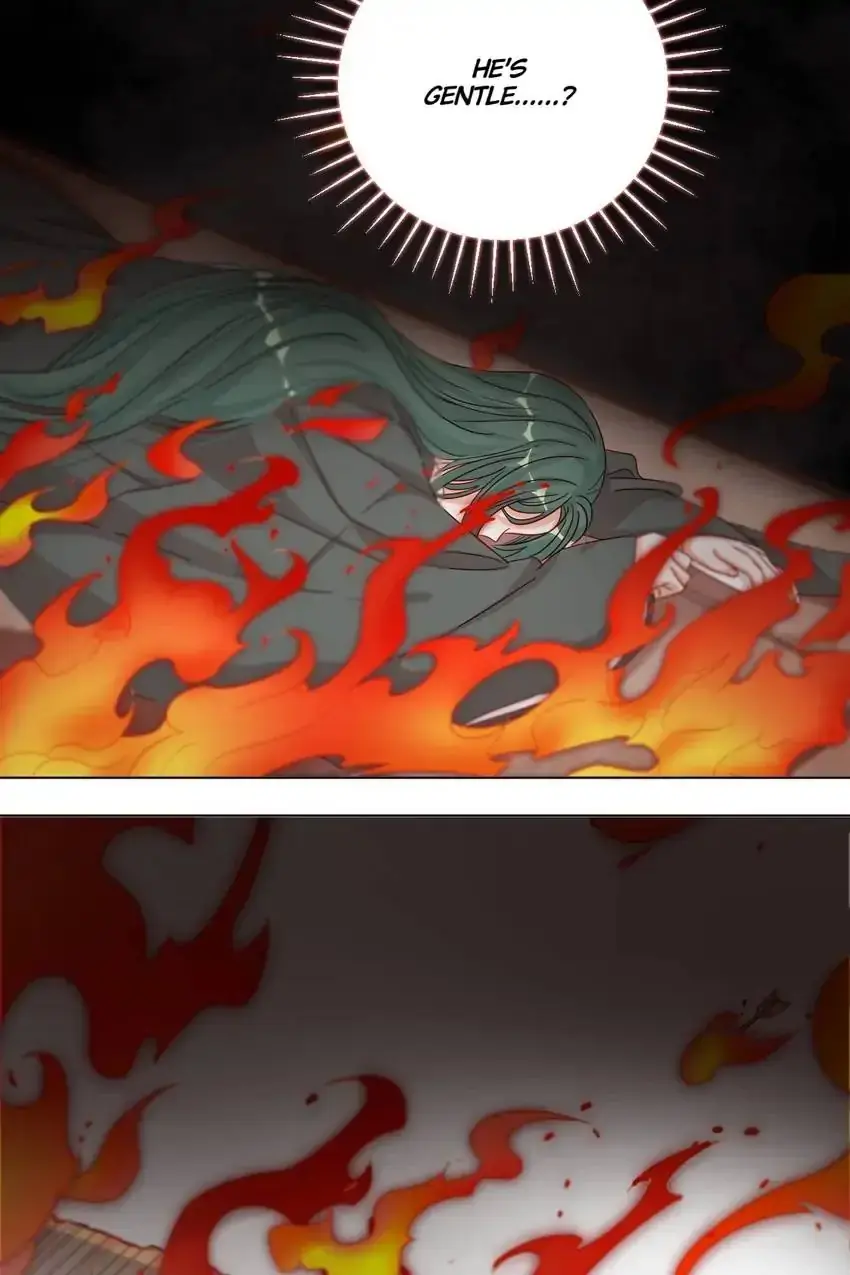 A Song Dwelling In The Clouds: Love Inside The Cage Chapter 45 page 29 - 
