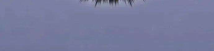 A Spy