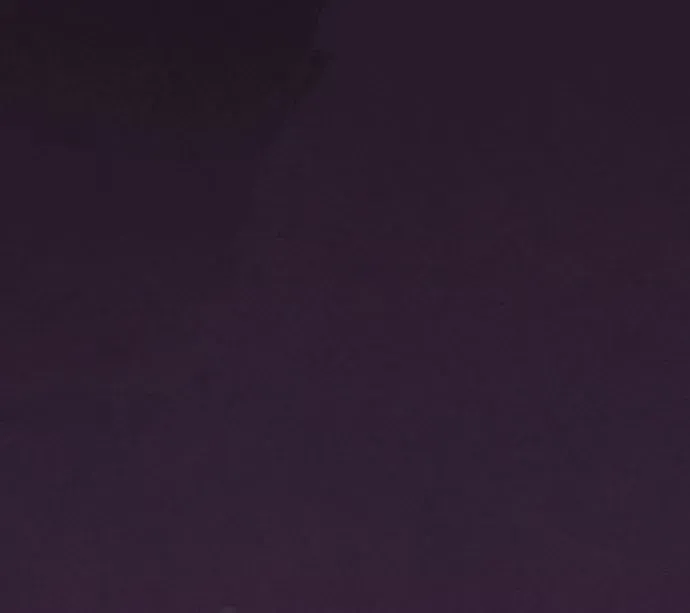 A Spy