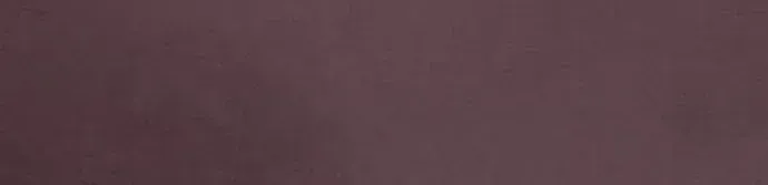 A Spy