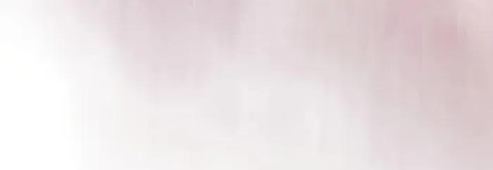 A Spy