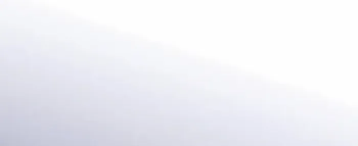 A Spy