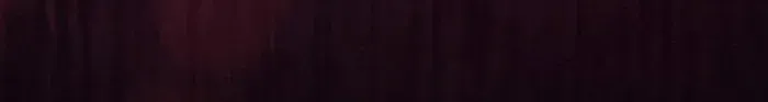 A Spy