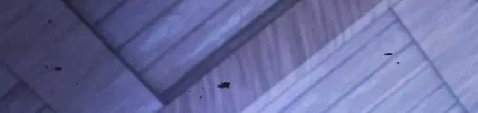 A Spy