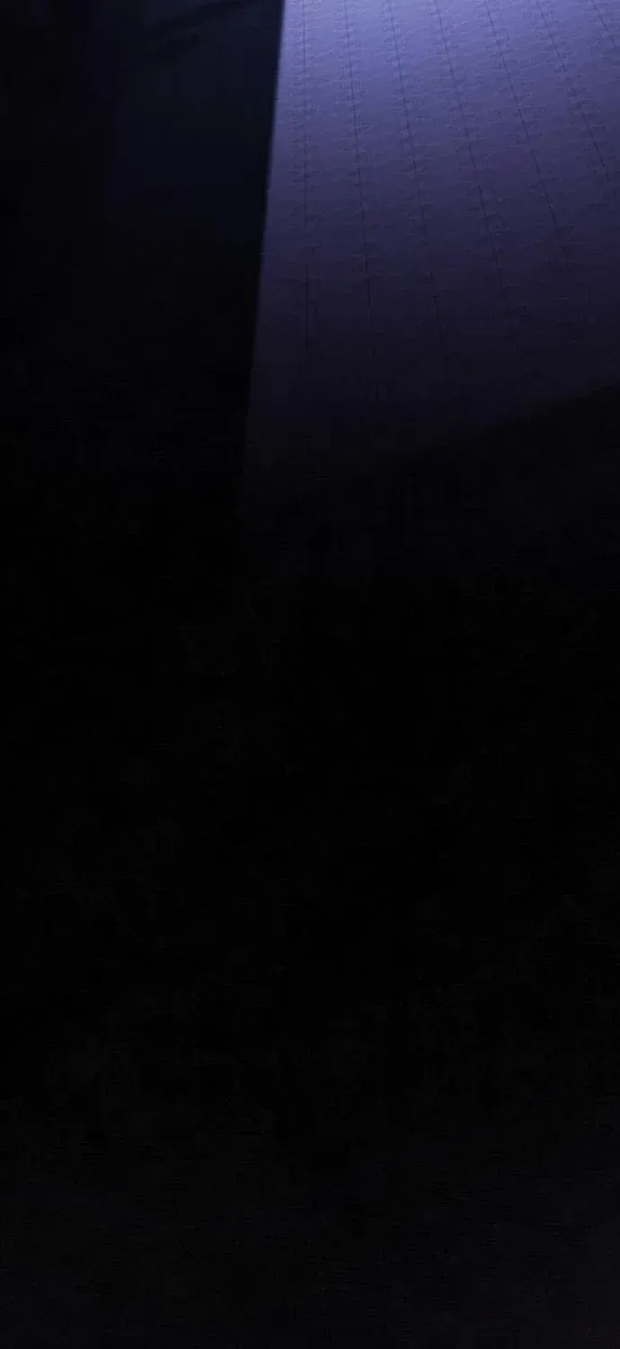 A Spy