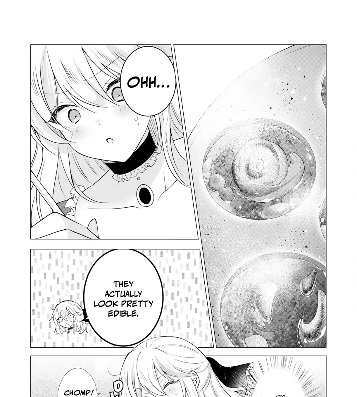 A Story About a Noble Lady Eating Junk Food and Saying, 