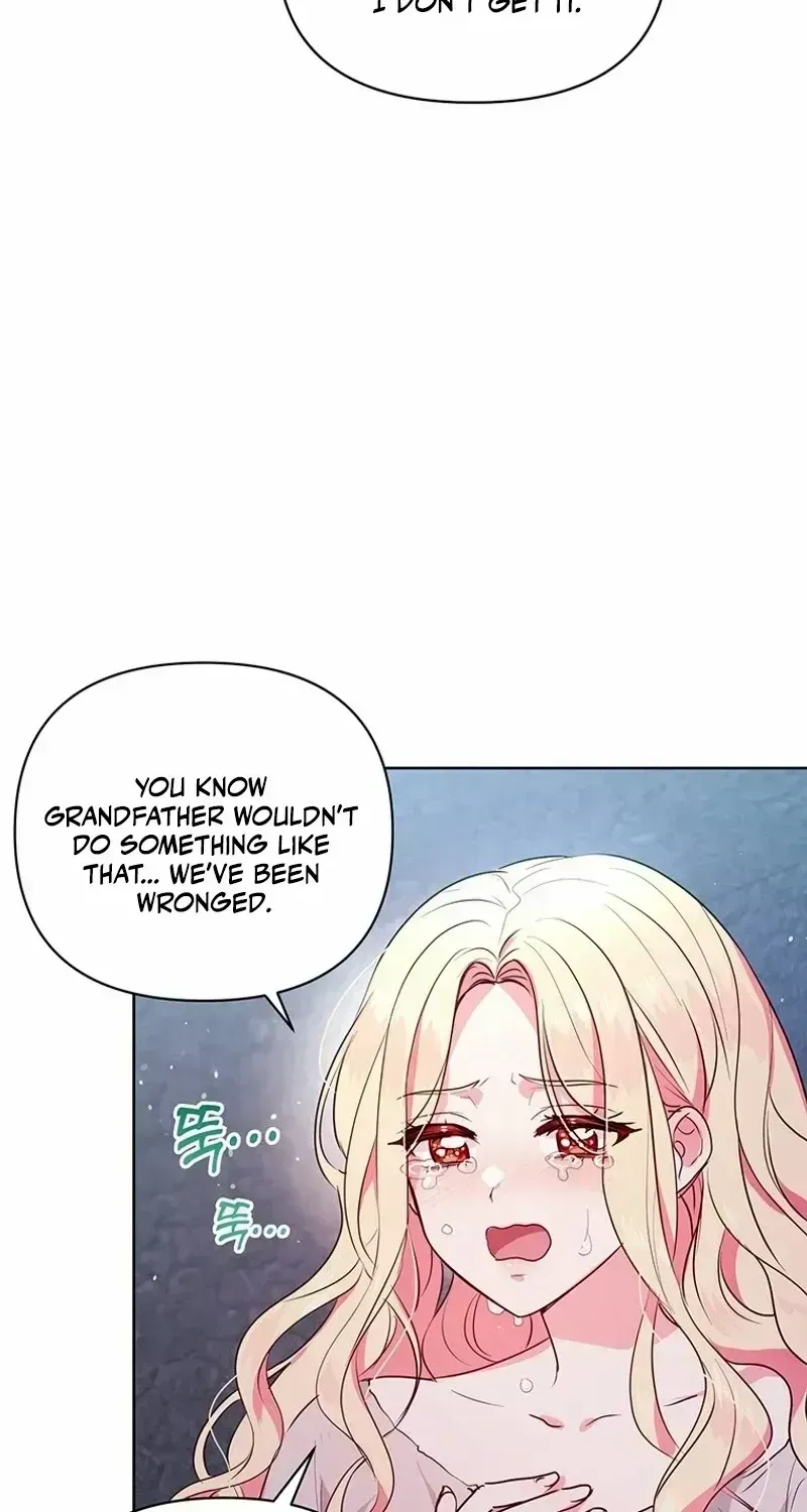 A Strange but Effective Villainess Life Chapter 1.2 page 39 - 