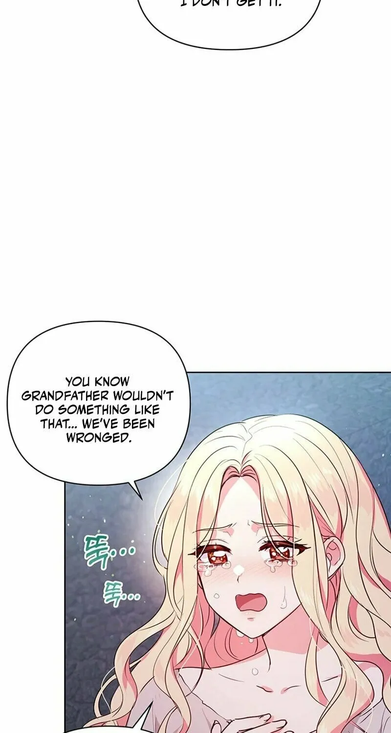 A Strange but Effective Villainess Life Chapter 1 page 39 - 