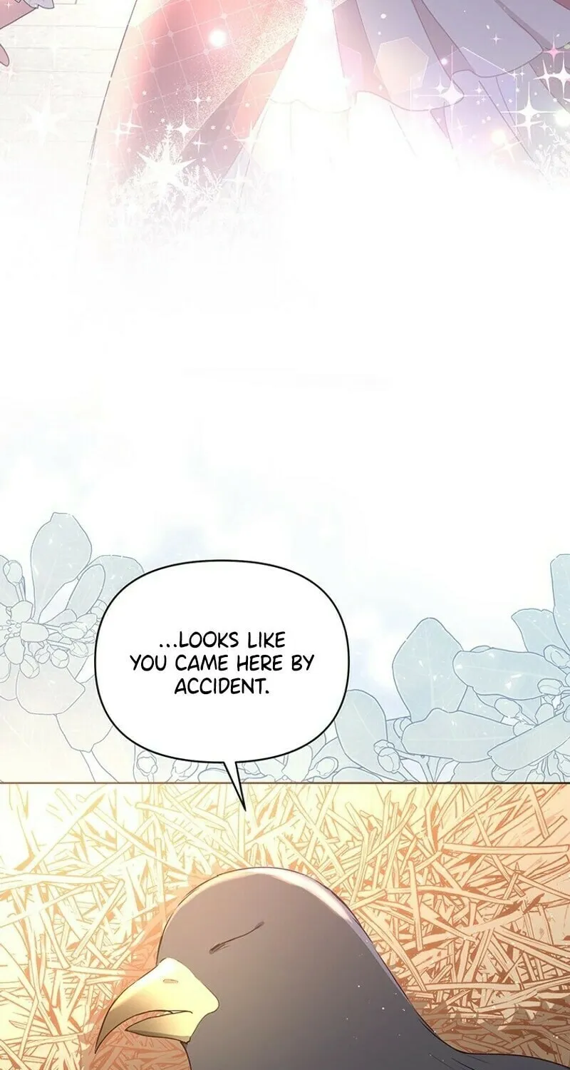 A Strange but Effective Villainess Life Chapter 10 page 47 - 