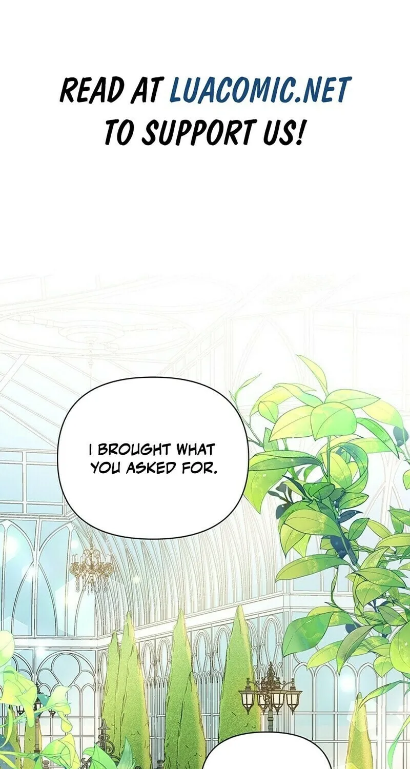 A Strange but Effective Villainess Life Chapter 13 page 2 - 