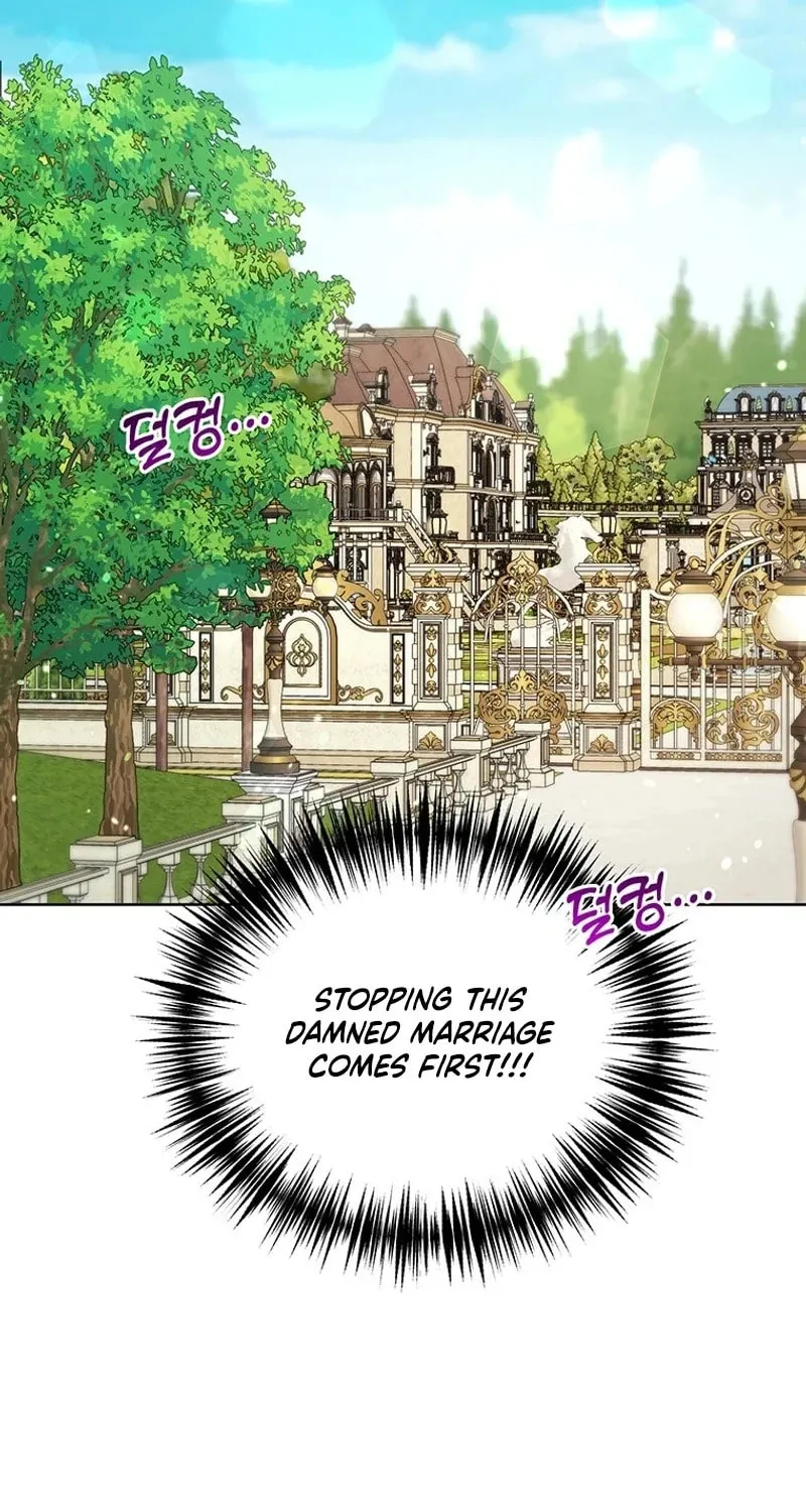A Strange but Effective Villainess Life Chapter 15 page 13 - 