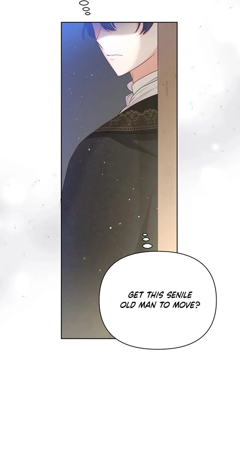 A Strange but Effective Villainess Life Chapter 25 page 29 - 
