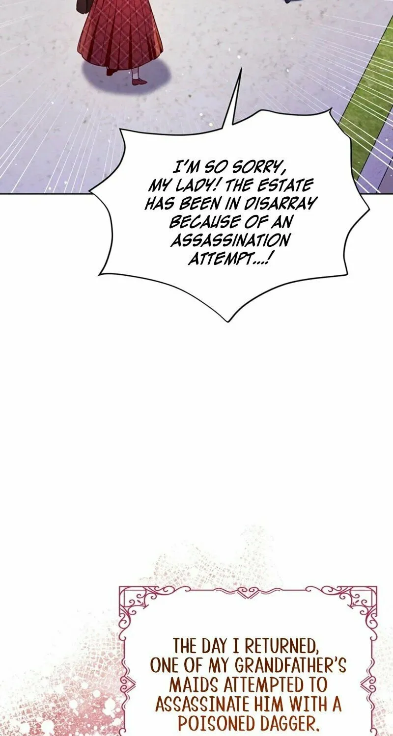 A Strange but Effective Villainess Life Chapter 4 page 28 - 