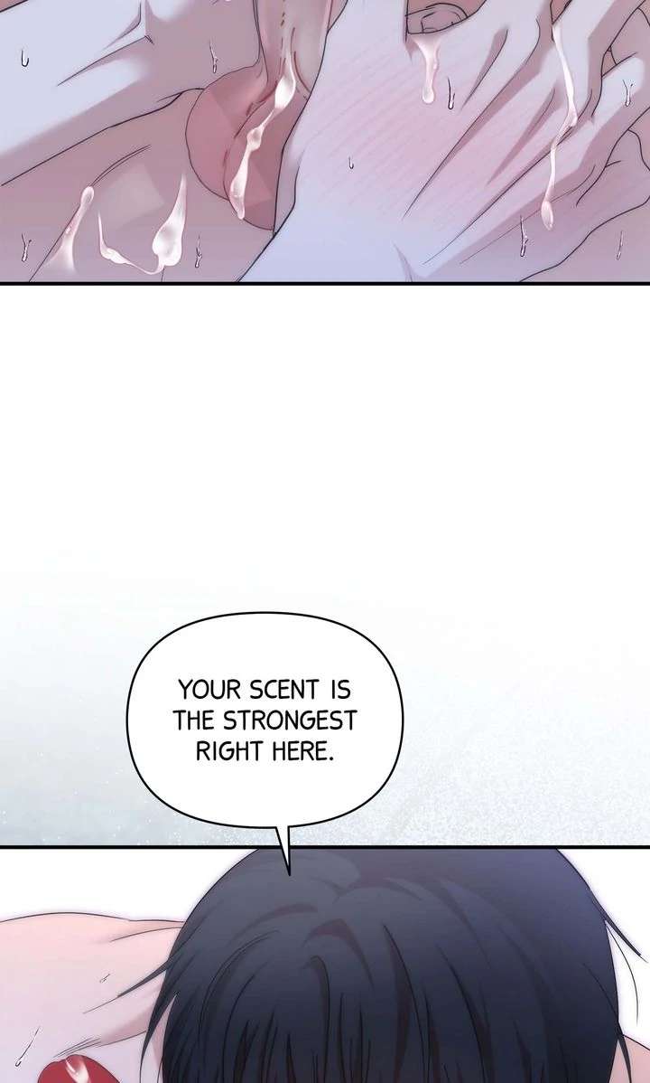 A Strategic Partnership Chapter 16 page 62 - 