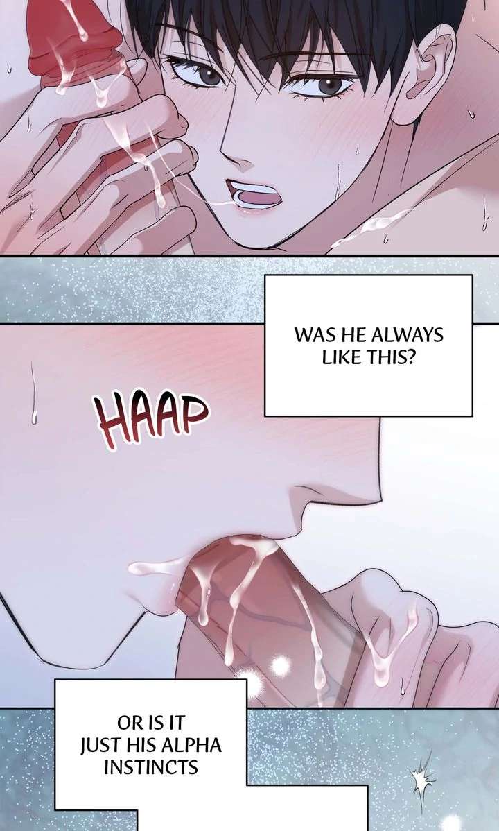 A Strategic Partnership Chapter 16 page 63 - 