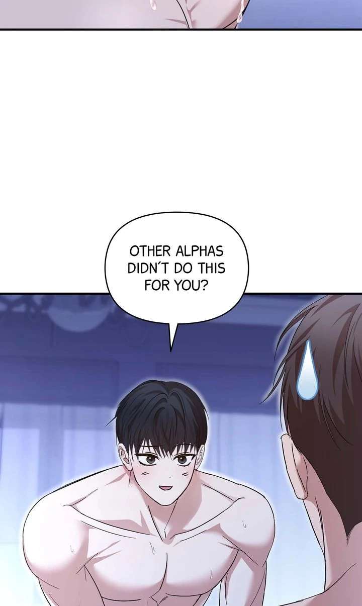 A Strategic Partnership Chapter 17 page 72 - 