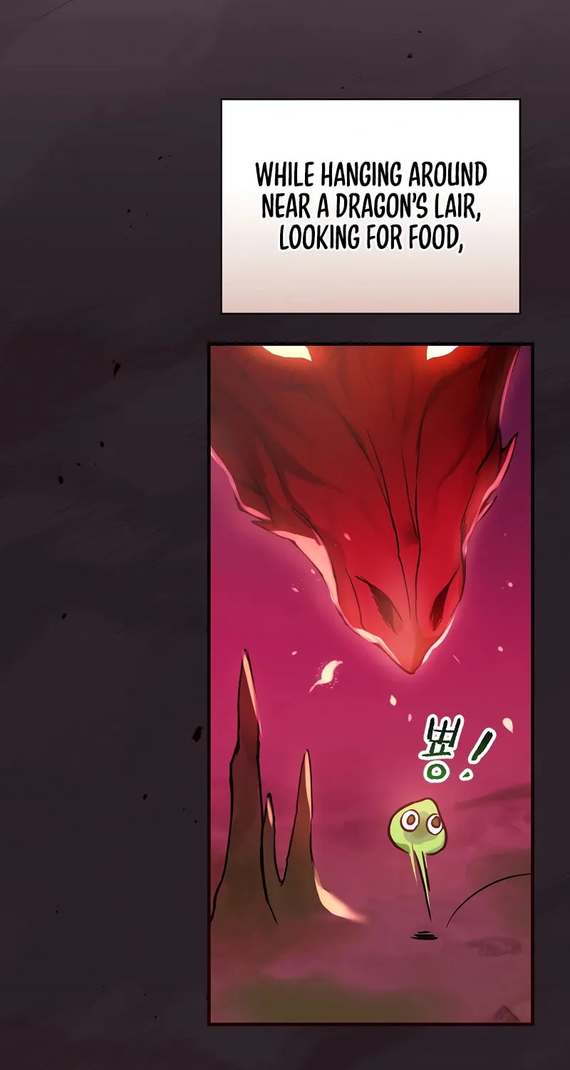 A Superstar From Birth Chapter 1 page 70 - 