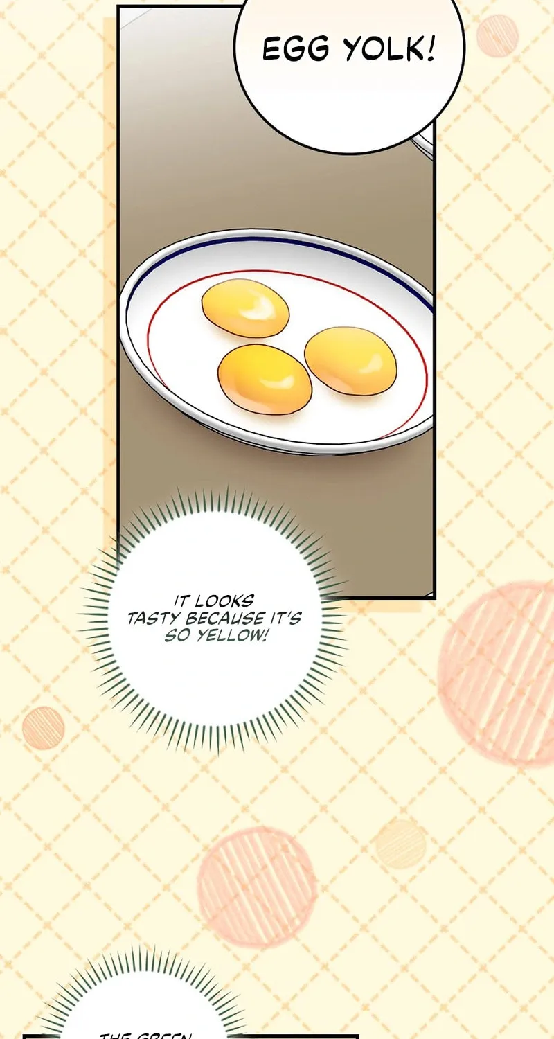 A Superstar From Birth Chapter 12 page 58 - 