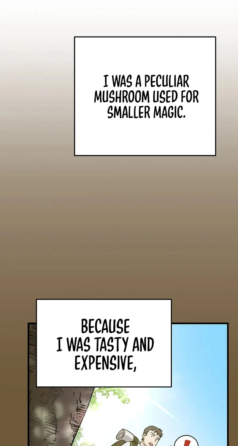 A Superstar From Birth Chapter 16 page 75 - 