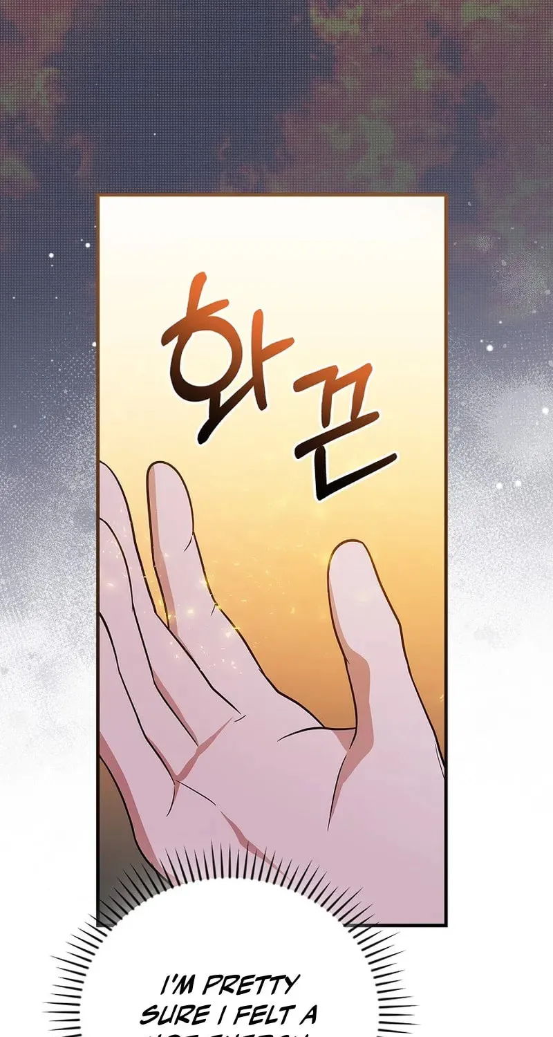 A Superstar From Birth Chapter 25 page 17 - 
