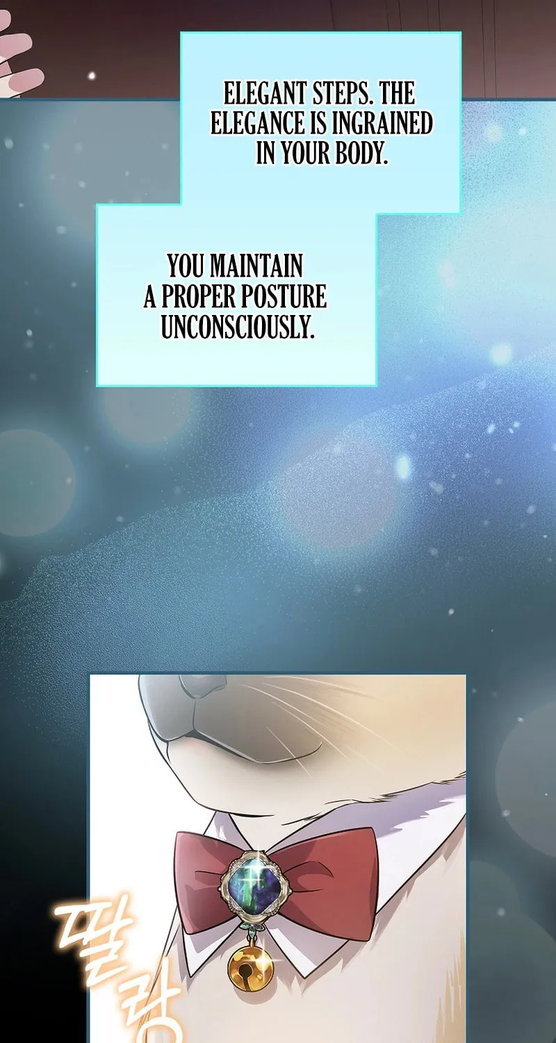 A Superstar From Birth Chapter 35 page 16 - 
