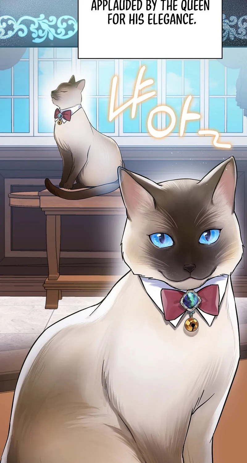 A Superstar From Birth Chapter 35 page 18 - 