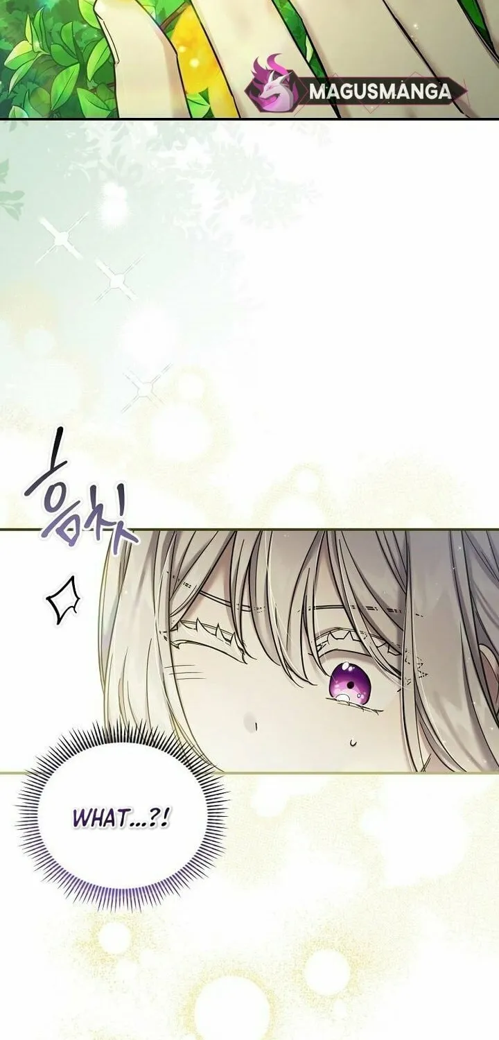 A Terminally Ill Villainess Refuses to Be Adopted Chapter 11 page 70 - 