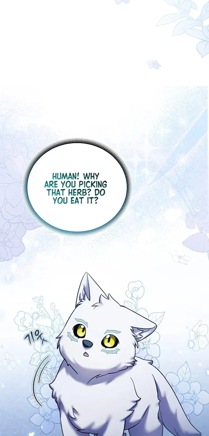 A Terminally Ill Villainess Refuses to Be Adopted Chapter 26 page 16 - 