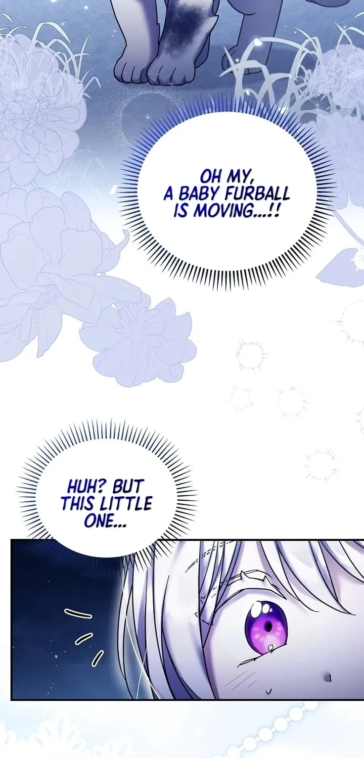 A Terminally Ill Villainess Refuses to Be Adopted Chapter 26 page 17 - 