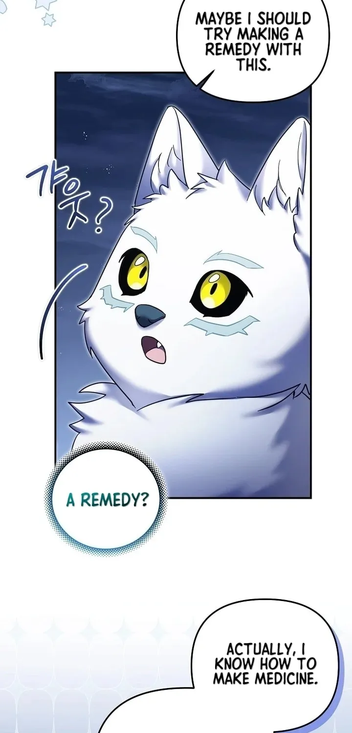 A Terminally Ill Villainess Refuses to Be Adopted Chapter 26 page 19 - 
