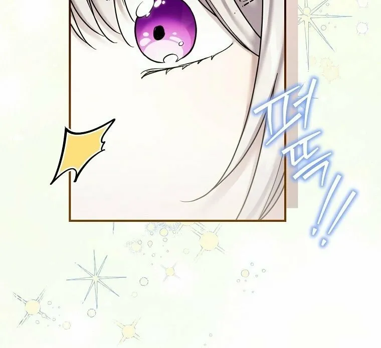 A Terminally Ill Villainess Refuses to Be Adopted Chapter 9 page 26 - 