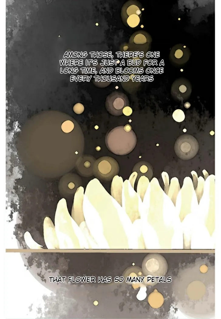 A Thousand Petals Chapter 2 page 11 - 