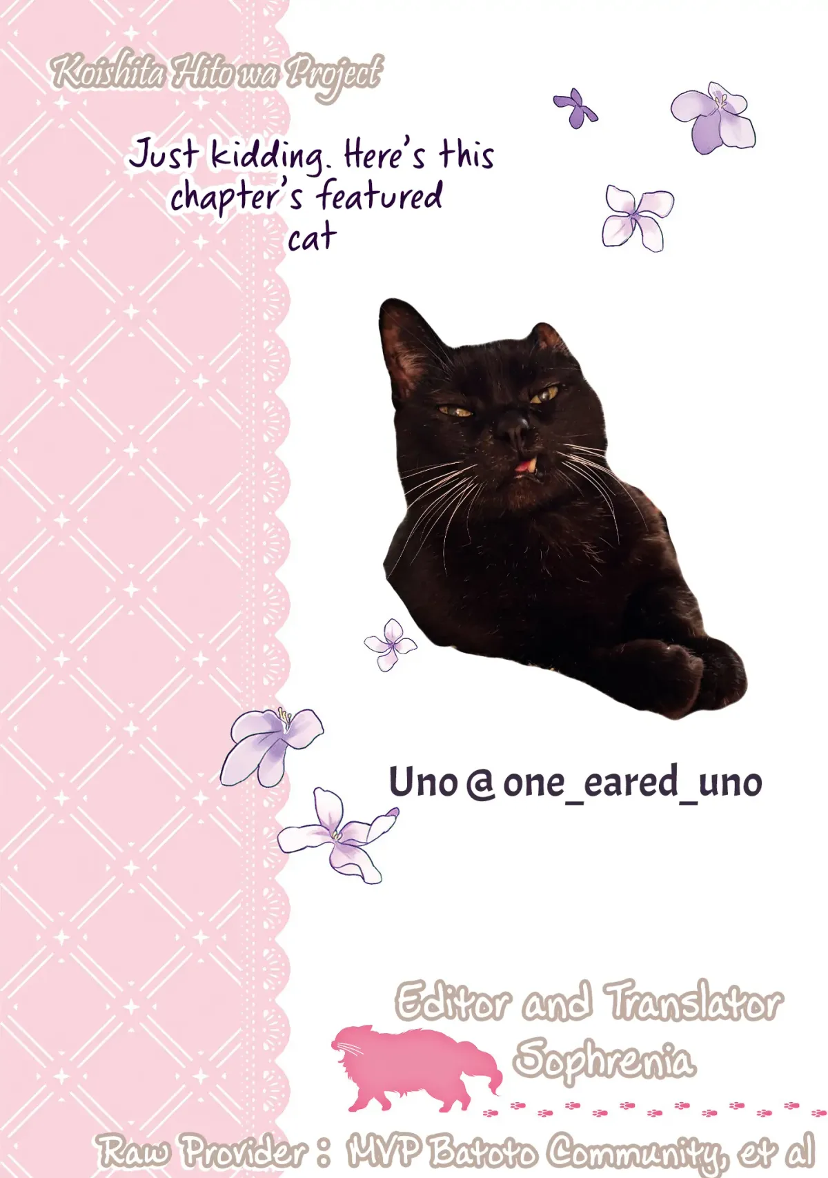 A Timid Lady was Turned into an Ugly Cat, but on the Verge of Fainting is  Picked up by the Most Fearsome Military Duke Chapter 11 page 2 - 