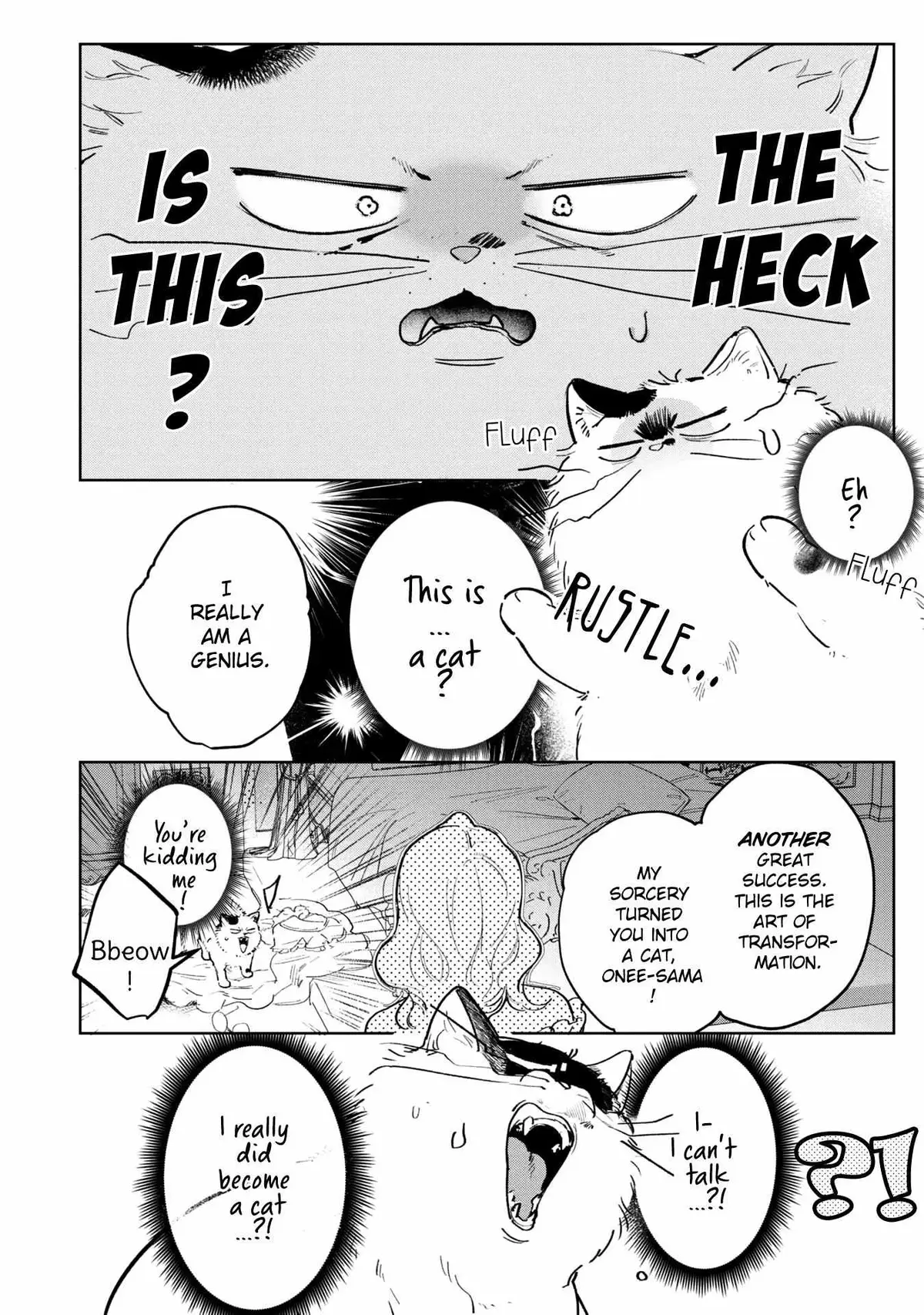 A Timid Lady was Turned into an Ugly Cat, but on the Verge of Fainting is  Picked up by the Most Fearsome Military Duke Chapter 3 page 13 - 