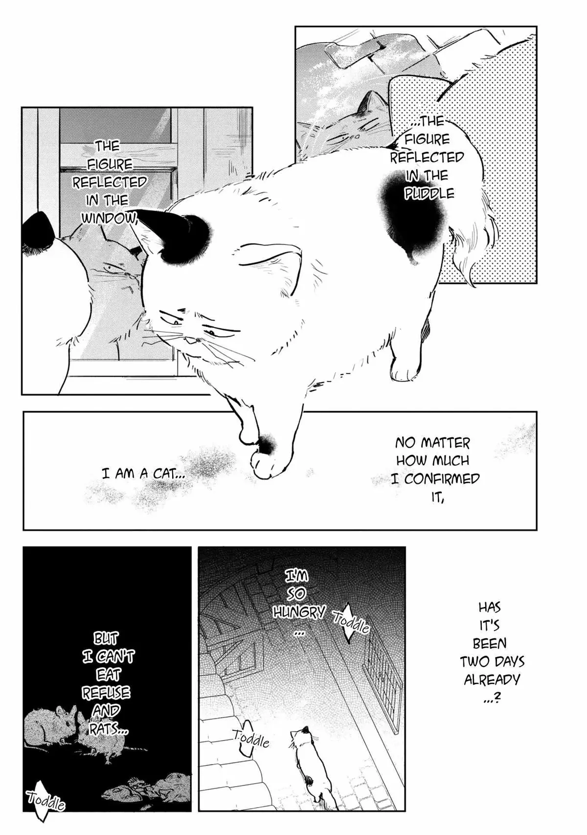 A Timid Lady was Turned into an Ugly Cat, but on the Verge of Fainting is  Picked up by the Most Fearsome Military Duke Chapter 3 page 18 - 