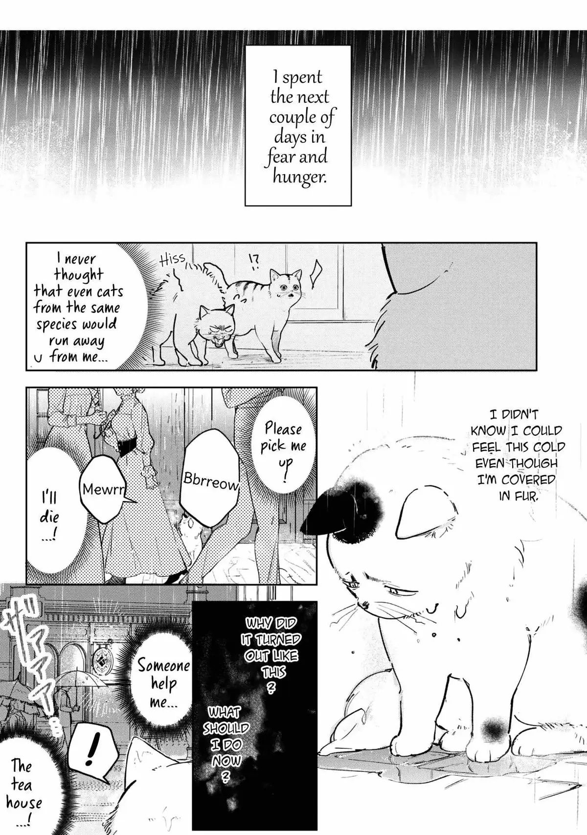 A Timid Lady was Turned into an Ugly Cat, but on the Verge of Fainting is  Picked up by the Most Fearsome Military Duke Chapter 3 page 20 - 