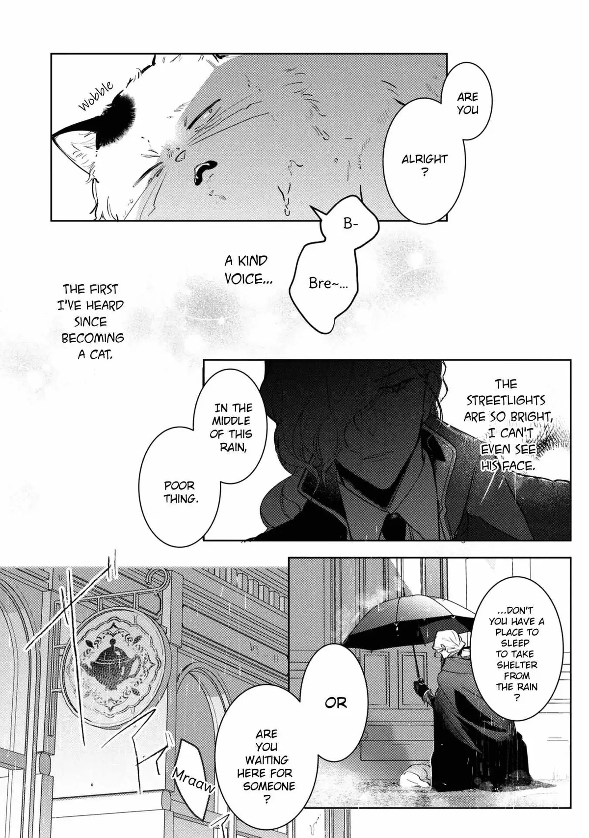 A Timid Lady was Turned into an Ugly Cat, but on the Verge of Fainting is  Picked up by the Most Fearsome Military Duke Chapter 3 page 23 - 
