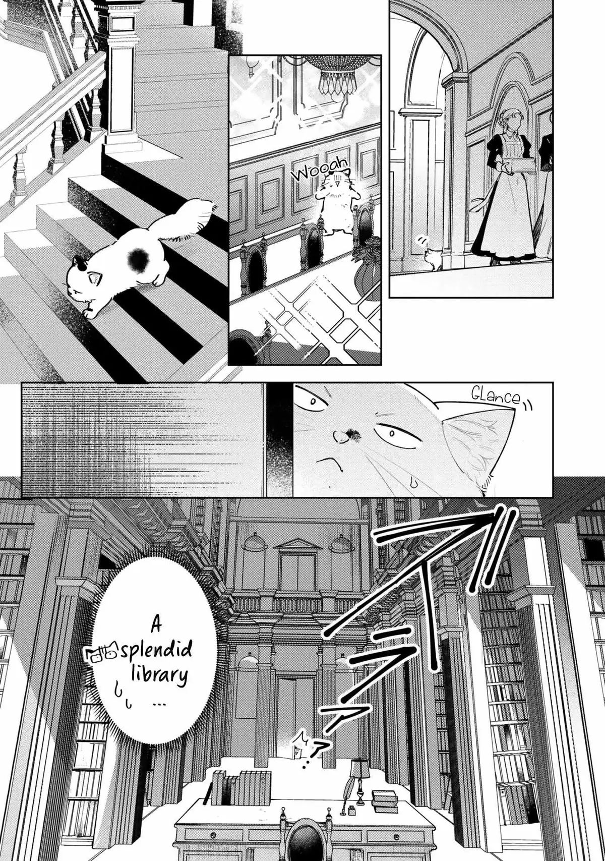A Timid Lady was Turned into an Ugly Cat, but on the Verge of Fainting is  Picked up by the Most Fearsome Military Duke Chapter 5 page 5 - 