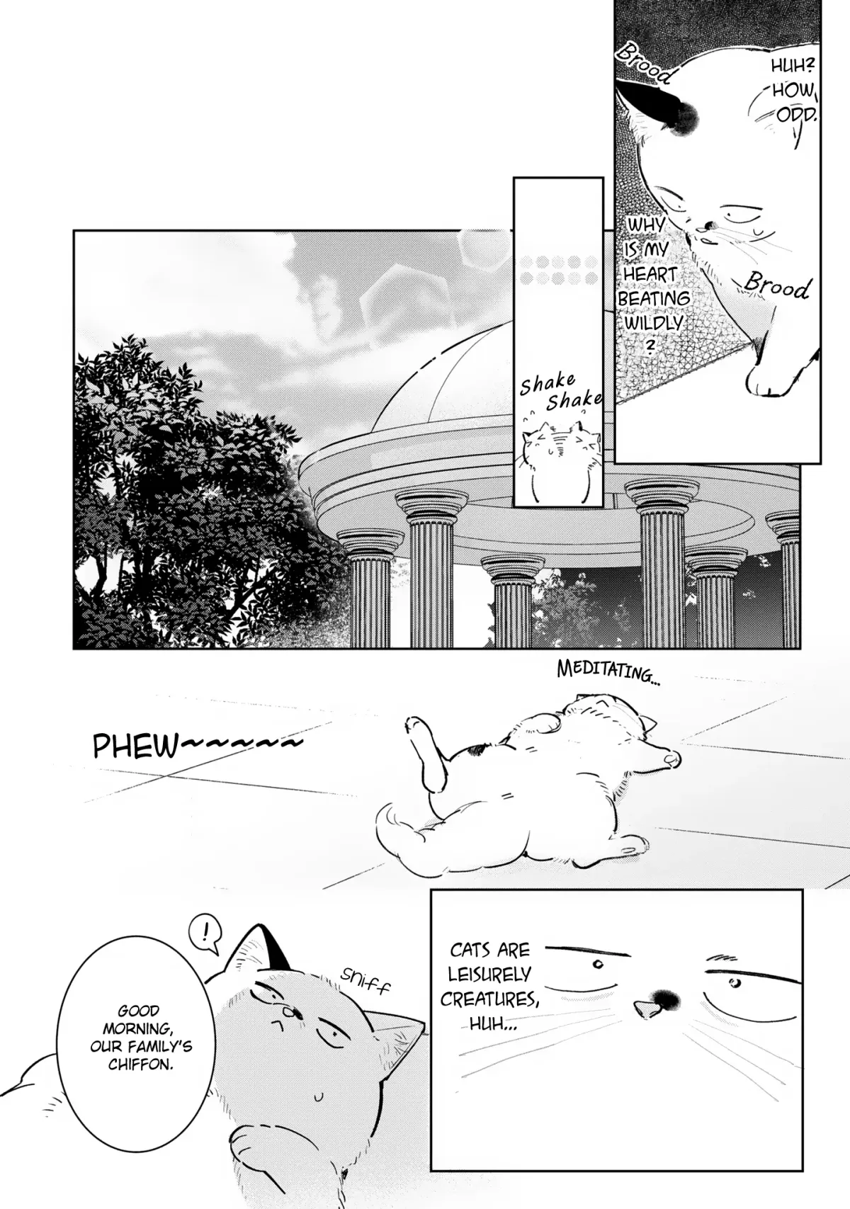 A Timid Lady was Turned into an Ugly Cat, but on the Verge of Fainting is  Picked up by the Most Fearsome Military Duke Chapter 7 page 18 - 