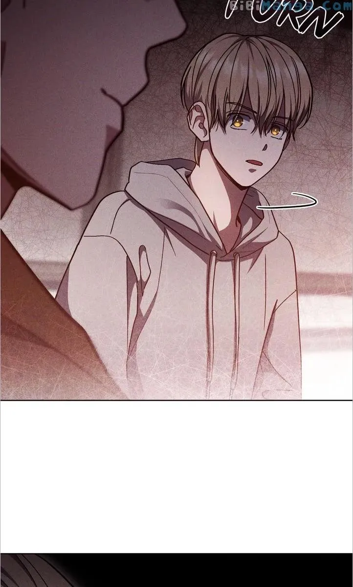 A Trace of the Wonder Chapter 73 page 17 - 