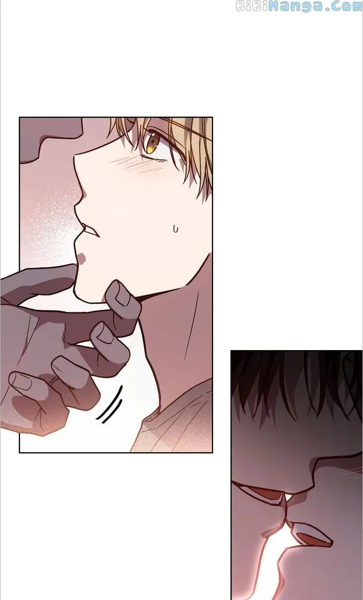 A Trace of the Wonder Chapter 78 page 8 - 
