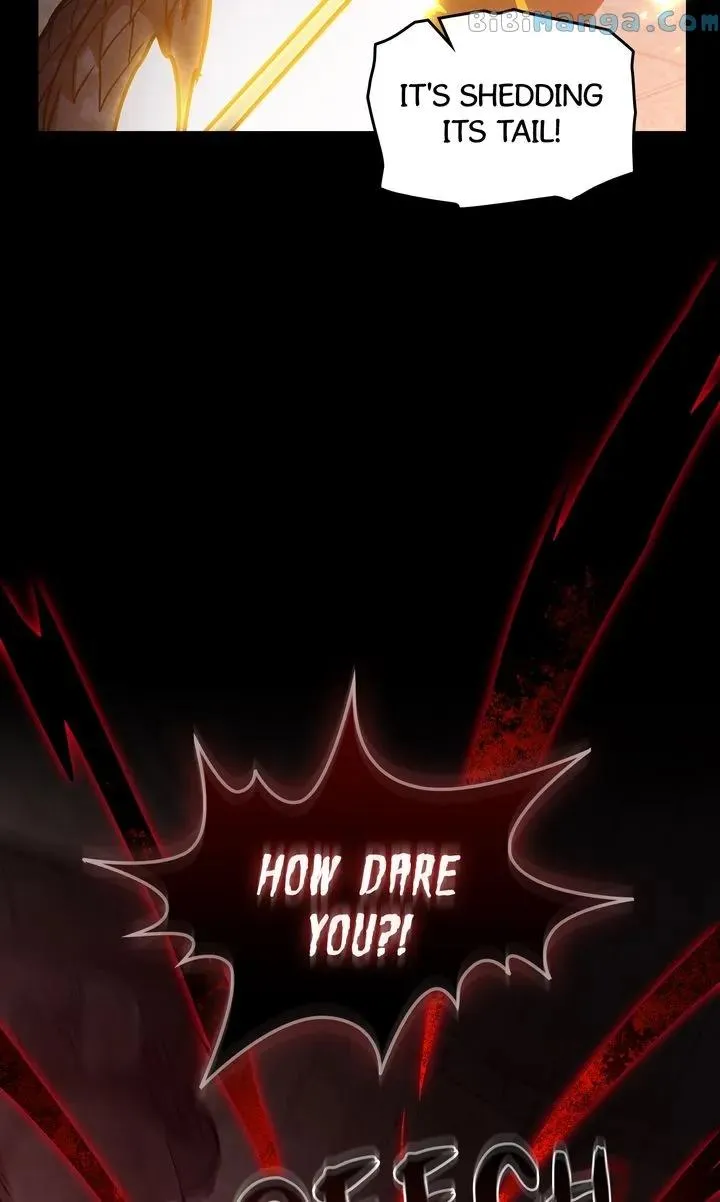 A Trace of the Wonder Chapter 86 page 73 - 