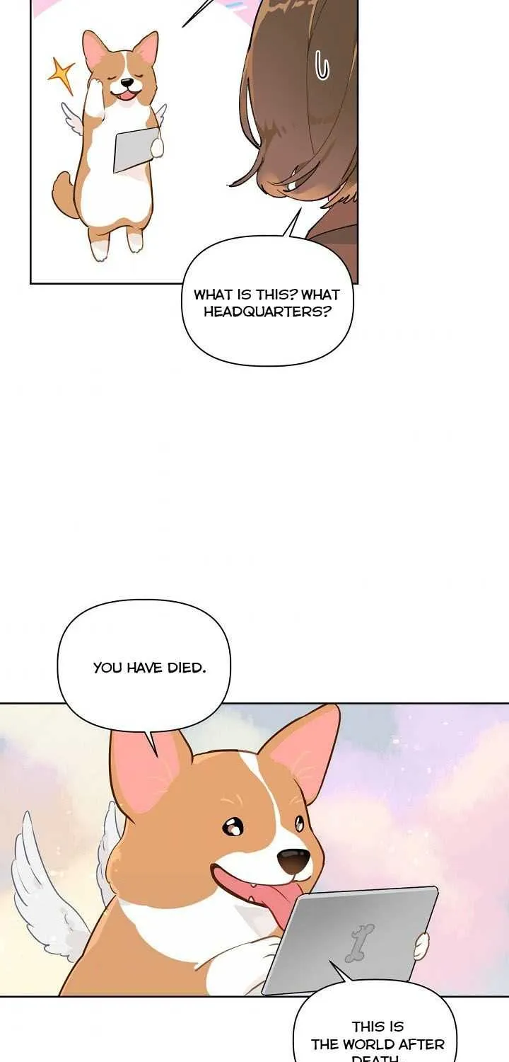 A Transmigrator’s Privilege Chapter 1 page 31 - 