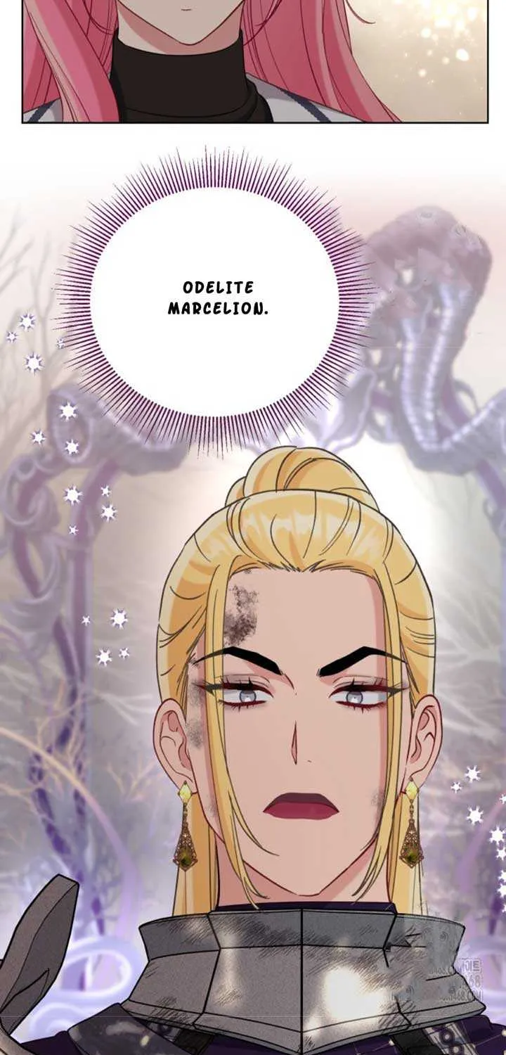 A Transmigrator’s Privilege Chapter 103 page 103 - 