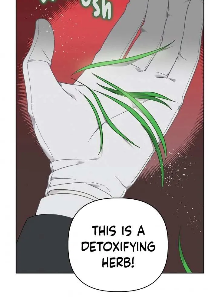 A Transmigrator’s Privilege Chapter 26 page 31 - 